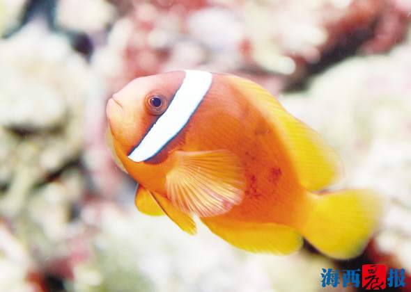 廈門海底世界內設有五個特色展區(qū)(圖7)