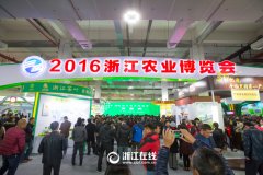 看展覽、嘗美食、囤年貨 2016浙江農(nóng)博會